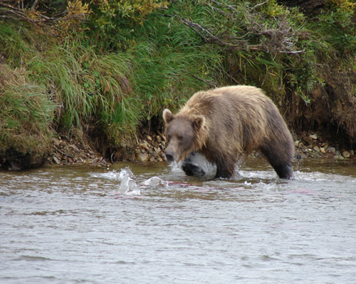 Kobuk River
